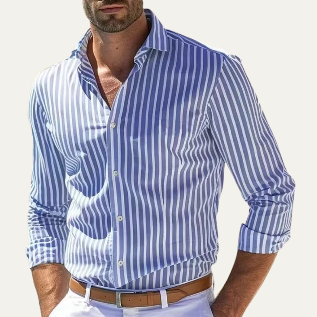 Men's Smart Fit Striped Long Sleeve Shirt